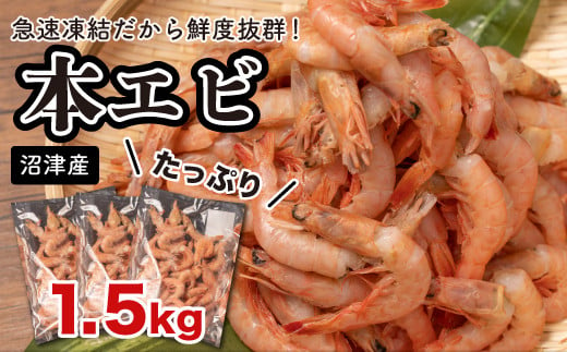 えび 冷凍 海老 Ｍサイズ 1.5kg 500g 3パック 駿河湾 採れたて 鮮度抜群 エビ餃子 エビチリ エビ餃子 274740 - 静岡県沼津市