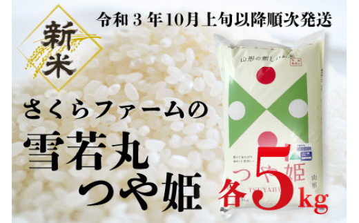 新米 山形県庄内産 雪若丸 白米20kg Ｇセレクション 特別栽培米 安い