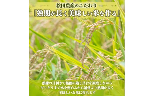 T-B1 ＜令和5年産＞宮崎県串間市産 超早場米「夏の笑み」(計10kg・5kg