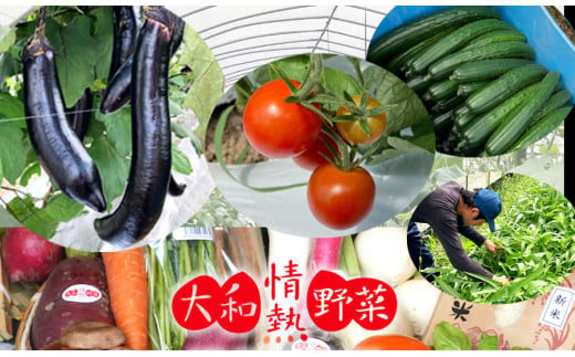 大和情熱野菜の玉手箱 / 季節の野菜 旬の野菜 野菜セット