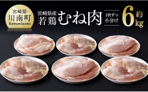 【ふるさと納税】１枚ずつの小分けがうれしい！宮崎県産若鶏むね肉小分けで約６ｋｇG7805
