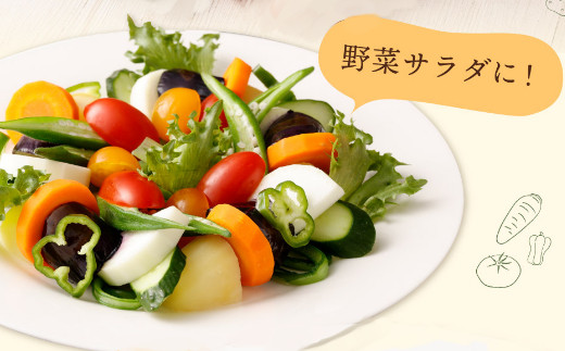 朝どれ野菜１０品目【４ヶ月連続定期便】～新型コロナ支援 - 高知県