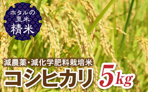 令和6年産【ホタルの里米】環境に配慮し農薬を減らした栽培米 コシヒカリ精米5kg 米 お米 おこめ ご飯 ごはん 福島県 西会津町 F4D-0693 594183 - 福島県西会津町