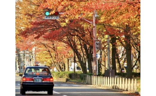 Mkハイヤー観光 普通車3時間 ドライバーとめぐるとっておきの京都観光 3 21 6 10 1 11 30 京都府京都市 ふるさと納税 ふるさとチョイス