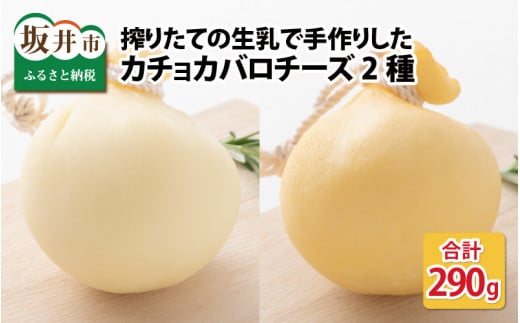 搾りたての生乳で手作りした、カチョカバロチーズ 2個 詰め合わせ（プレーン、くん製）【チーズ ちーず イタリア系チーズ 生乳 しぼりたて 燻製 熟成 ミルク 発酵食品 乳製品 加工食品 おつまみ おかず 手作り 冷蔵 アレンジ セット 詰合せ 越前チーズ工房 国産】 [A-11905]