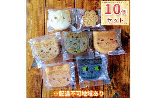 【CawaCaffe】猫神様 焼菓子詰め合わせ 10個セット【06103】