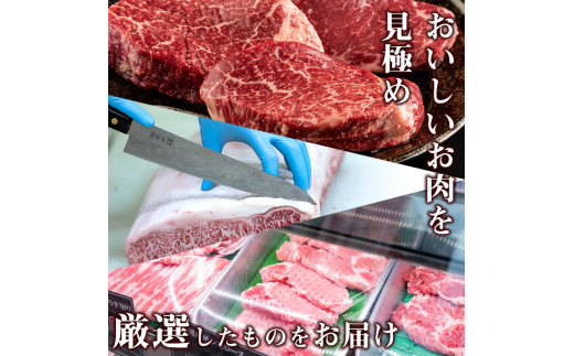 MI011 ＜宮崎牛＞ステーキ食べ比べ(合計350g・ヒレ150g、ロース200g、マキシマムスパイス付)【中村食肉】