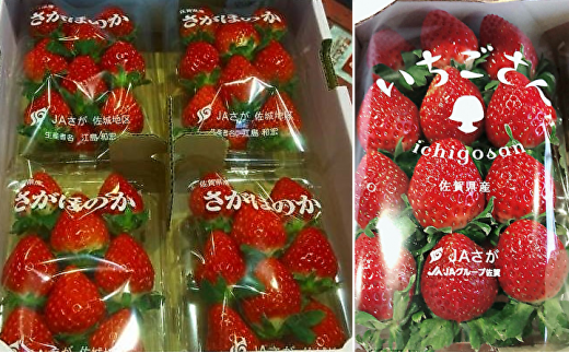 佐賀県産いちご食べ比べセット(写真はイメージです)