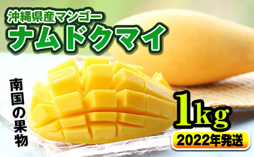 22年発送 南国の果物 沖縄県産マンゴー ナムドクマイ 1kg 沖縄県南風原町 ふるさと納税 ふるさとチョイス