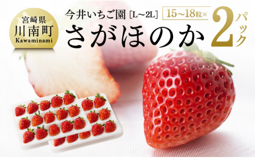 宮崎県産いちご 『さがほのか』（Ｌ～2Ｌ） 2パック【 国産 イチゴ 苺 くだもの 果物 期間限定 数量限定 】