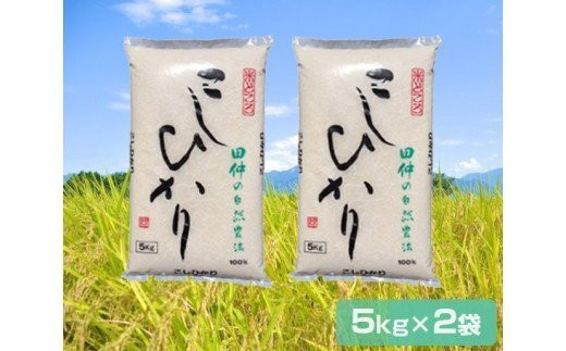 令和5年産】特別栽培米 田仲のコシヒカリ10kg (農薬・化学肥料7割減