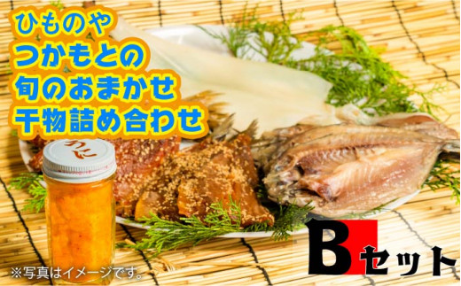 干物 ひものや つかもとの旬のおまかせ干物詰め合わせb 合同会社 塚元 壱岐 魚 アジ イワシ イカ カサゴ Jdr002 長崎県壱岐市 ふるさと納税 ふるさとチョイス