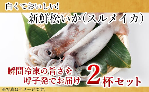 新鮮松イカ(スルメイカ)の姿造りを瞬間凍結しご家庭にお届けします。