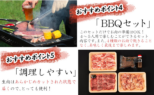 佐賀牛赤身、佐賀牛ローストビーフ、九州産豚バラ
佐賀産”華味鳥”モモ肉の4種。
お肉はカット済みであとは焼くだけ♪