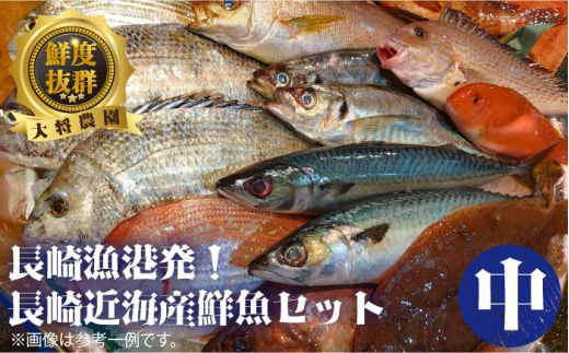 長崎漁港発！長崎近海産鮮魚セット（小）＜大将農園＞ [LCS007