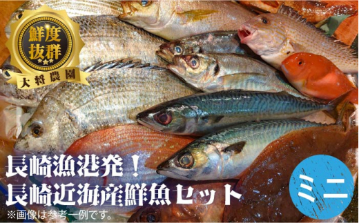 長崎漁港発！長崎近海産旬の鮮魚セット（大）＜大将農園＞ [LCS009