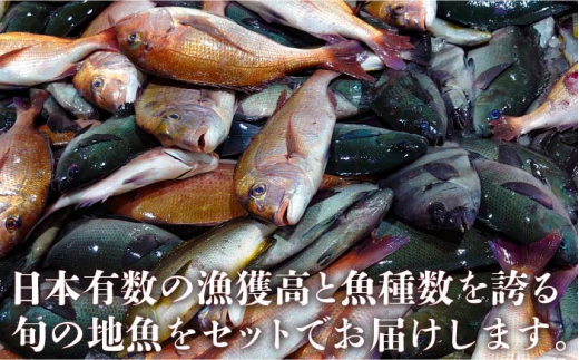 長崎漁港発！長崎近海産鮮魚セット（小）＜大将農園＞ [LCS007]