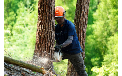 お届けする薪は、ナラ・アベマキ・カシ他の広葉樹が混合しています。樹種の指定はできません。