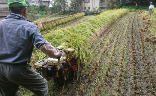 長崎県産 棚田もち米天日掛け干し サイワイモチ 5Kg （令和5年産）長崎