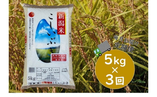 令和5年産 【3カ月連続お届け】新潟県産 こしいぶき　5㎏（精米）|地域力創造株式会社