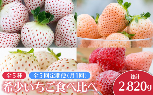 全5回定期便 白いちご3種と冷凍いちご Izz007 佐賀県白石町 ふるさと納税 ふるさとチョイス