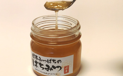 日本ミツバチ完熟蜂蜜600g×2+40g×2-