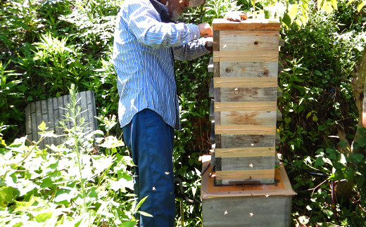 巣箱を手作りするところから、蜜の採取、ビン詰め、発送まで、
全て自分たちの手で行っています。