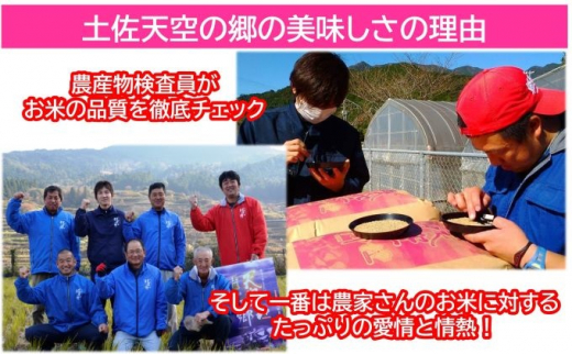 ☆令和5年産☆2010年・2016年 お米日本一コンテスト inしずおか 特別