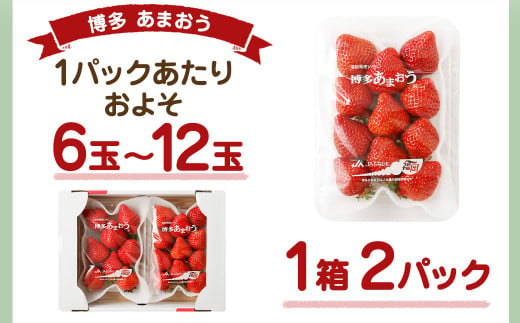 大粒セレクト！大人気のあまおう 約280g×2パック【2024年2月中旬～3月お届け】福岡県産ブランドいちご_KA0277