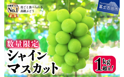 数量限定 山梨県産 シャインマスカット1kg超 山梨県富士吉田市 ふるさと納税 ふるさとチョイス