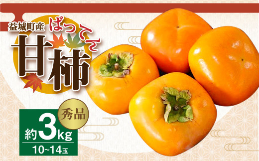 益城産 ばってん甘柿 秀品 約3kg 柿 10~14玉 果物