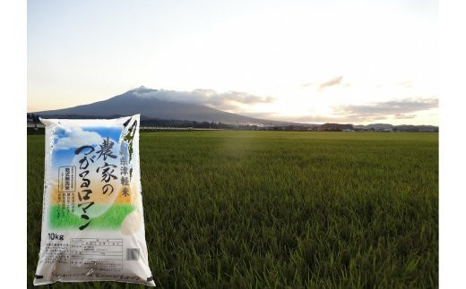 アイテムID:450367の画像7枚目