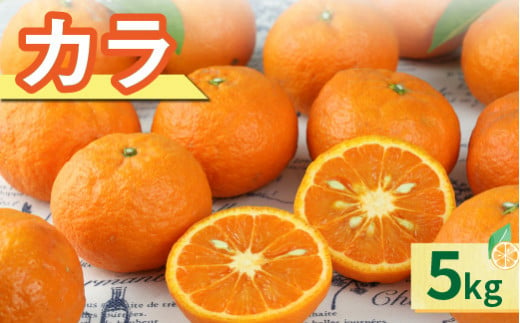 JAのカラマンダリン5キロ 果物 フルーツ みかん オレンジ カラマンダリン 5kg  262373 - 三重県御浜町