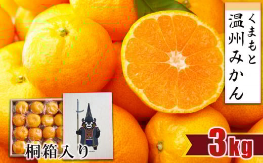 【 贈答用 ・ 桐箱 】 温州みかん 約3kg | フルーツ 果物 くだもの 柑橘 ミカン みかん 温州ミカン ギフト 熊本県 玉名市 512271 - 熊本県玉名市
