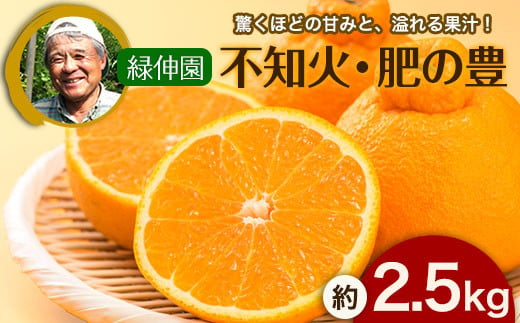 『緑伸園』の不知火・肥の豊 約2.5kg 【ふるさと納税】《12月中旬-1月下旬出荷》デコポンと同品種 1405531 - 熊本県玉東町