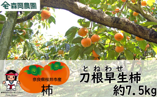 画像はイメージです。