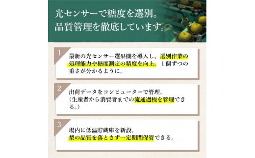 令和3年産先行予約 伊万里梨 あきづき 約5kg B165 佐賀県伊万里市 ふるさと納税 ふるさとチョイス