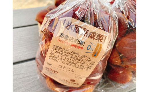 ふるさと納税 茨城県 笠間市 BP-3 毎月【3回定期便 】飯村きのこ園