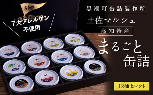 ホテルおすすめ!黒潮町の缶詰セット[12種セレクト][黒潮町共通返礼品]