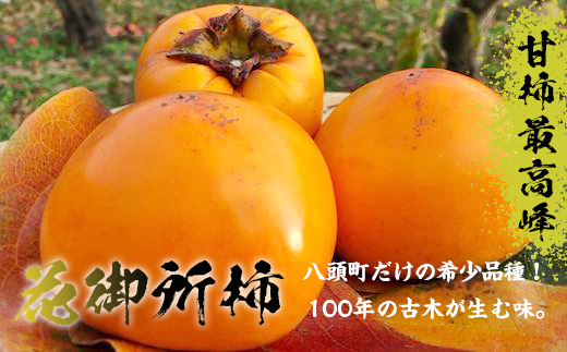 樹齢100年の古木から採れる花御所柿 298474 - 鳥取県八頭町