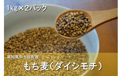 もち麦（ダイシモチ）1.0kg×2ﾊﾟｯｸ 789721 - 高知県中土佐町