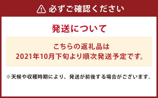 芋屋長兵衛  2種 食べ比べ セット 10㎏ 紅はるか 高系 芋