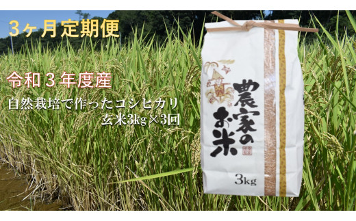 [3ヶ月定期便]自然栽培農法で作ったコシヒカリ 玄米3kg