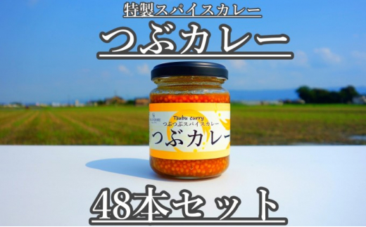 つぶカレー 130g×24本 - 福岡県朝倉市｜ふるさとチョイス - ふるさと