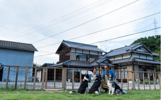 フルーツカードの瓶に描かれている3匹の看板犬が元気にお出迎え。Shiki Farmの敷地内にはドッグランも併設されています。