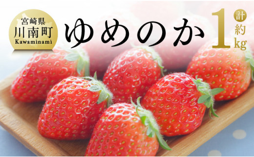 【 令和6年発送 】 宮崎県産 いちご 「 ゆめのか 」 270ｇ×4パック 【 先行予約 期間限定 果物 イチゴ 苺 フルーツ 】