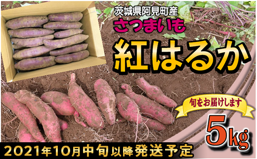 20-11茨城県阿見町産さつまいも(紅はるか)5kg