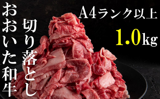 【おいしく食べて生産者を応援‼】おおいた和牛切り落とし1.0kg（500ｇ×２パック）　【チャレンジ応援品】