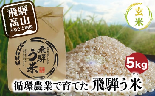 【 令和5年度産 新米 】 ”飛騨う米” 玄米 5kg 10月中旬～発送 有機肥料100％ 米 お米 受賞米 米コン3年連続特別優秀賞受賞米  TR3201|株式会社　拳