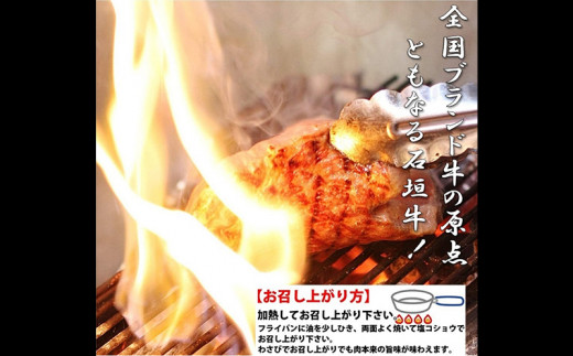 お肉屋本店 沖縄県産和牛・あぐー豚三昧セット 800g（ハンバーグ